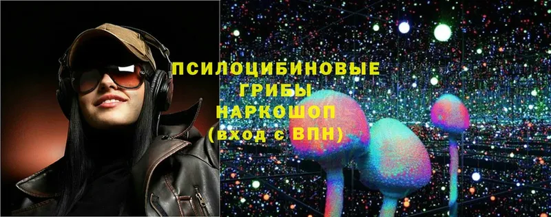 Псилоцибиновые грибы Psilocybe  Демидов 