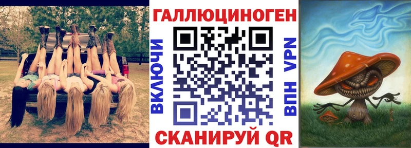 дарнет шоп  Демидов  Псилоцибиновые грибы Cubensis 